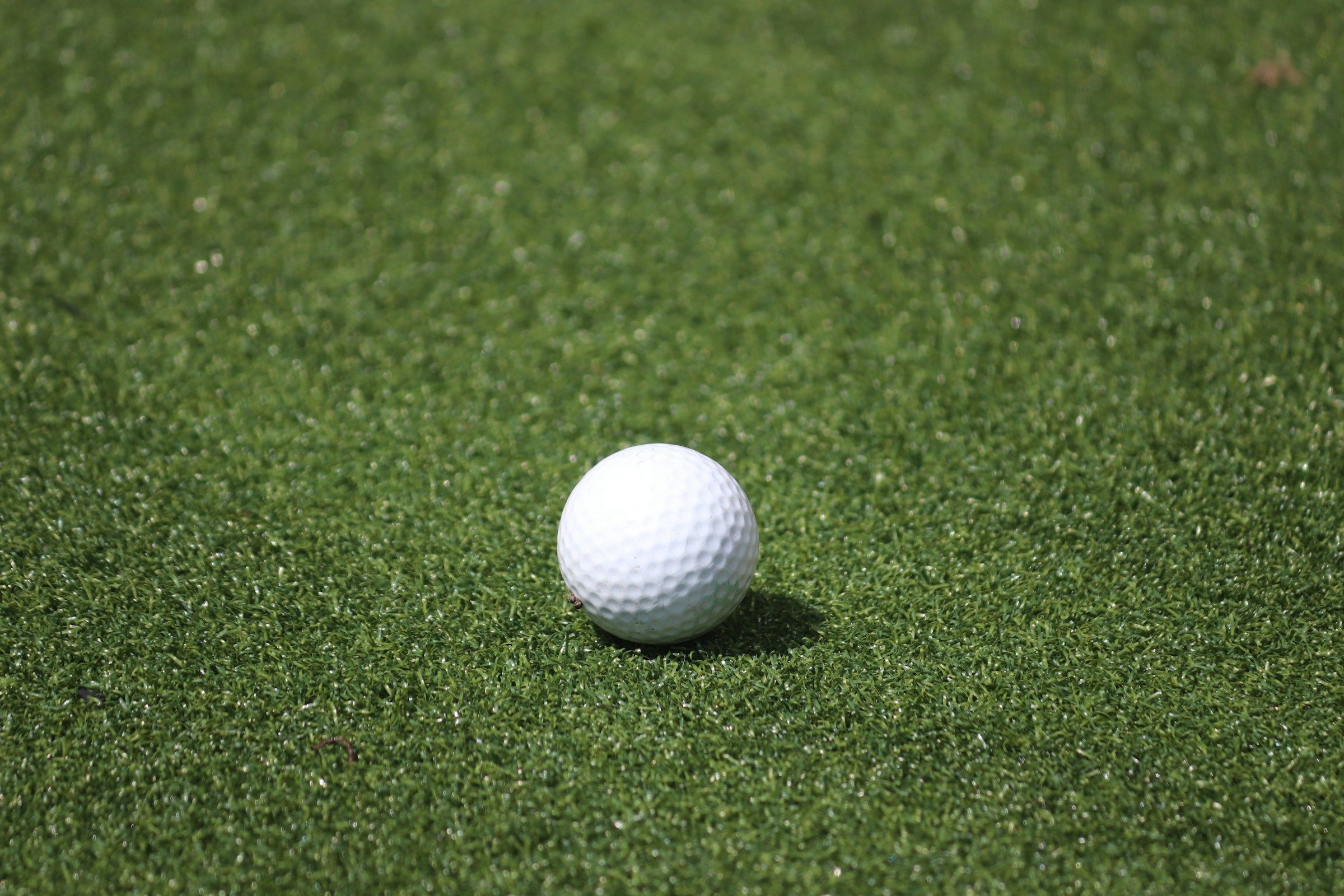 Golf Ball on grass
